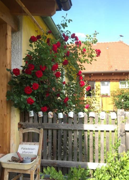 Ferienhaus Mit Garten In Thermennaehe Strebersdorf 외부 사진